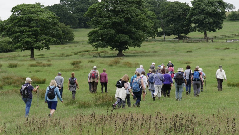 A large group of visitors walk across a field with trees ahead of them on the reservoir walk at Lyme Park, Cheshire